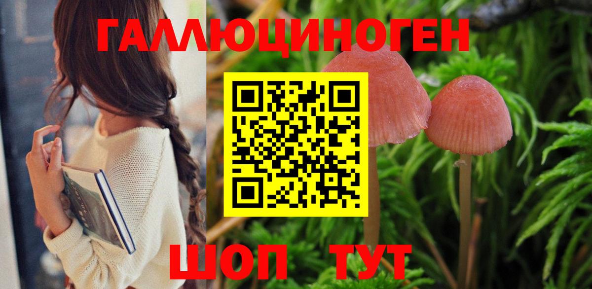 Черемхово  Галлюциногенные грибы GOLDEN TEACHER  Галлюциногенные грибы ЛСД  Вход с VPN 