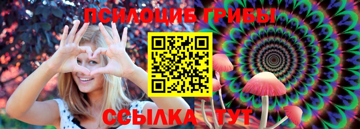 Псилоцибиновые грибы GOLDEN TEACHER Черемхово